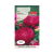 Aster wysoki piwoniowy 1G.png
