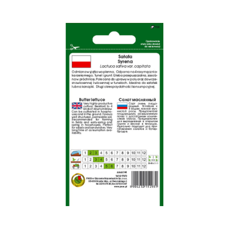 Sałata masłowa Syrena 1G tył.png