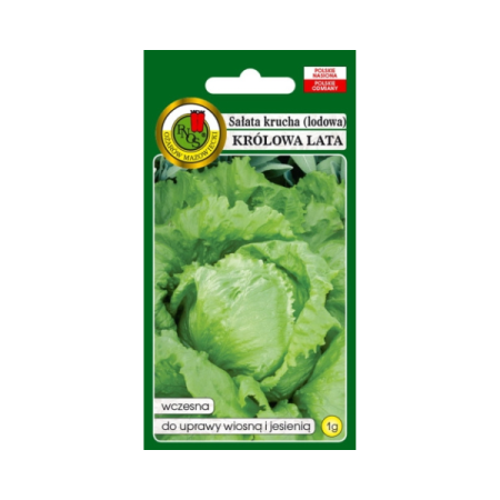 Sałata krucha (lodowa) Królowa Lata 1G.png