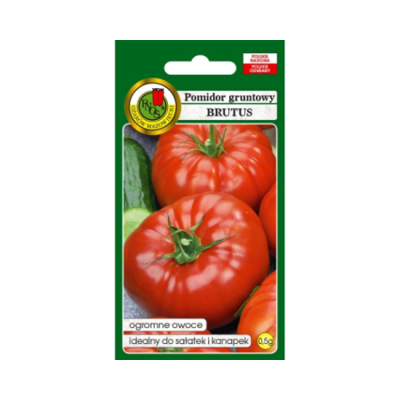 Pomidor gruntowy Brutus 0,5G.png