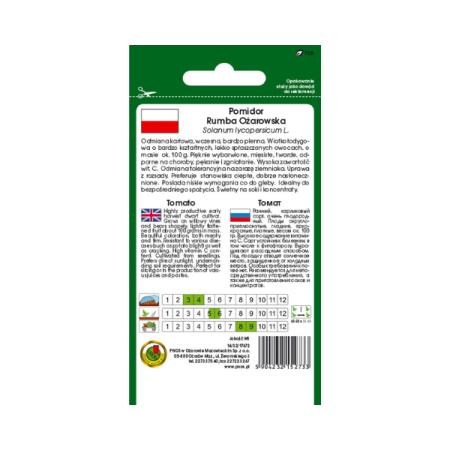 Pomidor gruntowa Rumba Ożarowska 1G tył.png