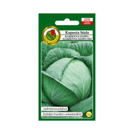 Kapusta głowiasta Kamienna Głowa 5G.png