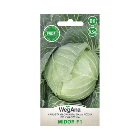 Kapusta Głowiasta biała Midor F1 0,5G.png