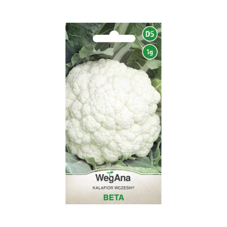 Kalafior wczesny Beta 1G.png