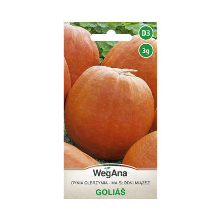 Dynia olbrzymia - Golias 3G.png