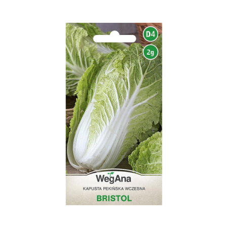 Kapusta pekińska wczesna Bristol 2G.png