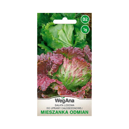 Sałata lodowa Mix odmian 1G.png