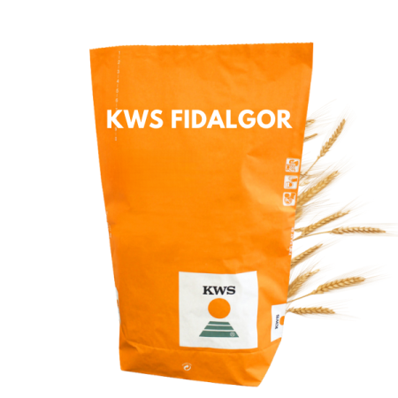 kws_żyto4.png