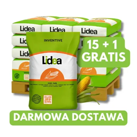 Kukurydza ES Inventive C1 80 tys. nas., zapr RedigoM120 FS 15+1