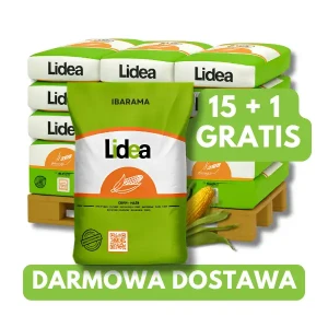 Kukurydza ES Ibarama C1 50 tys. nas. zapr Redigo M120FS, 15+1 