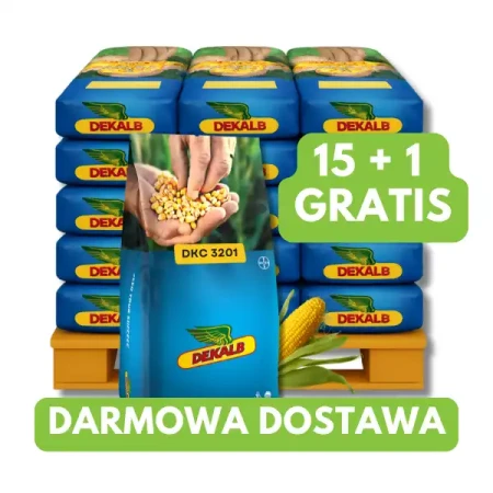 Kukurydza DKC 3201 C1 50 tys. nas. zapr Redigo M120FS, 15+1