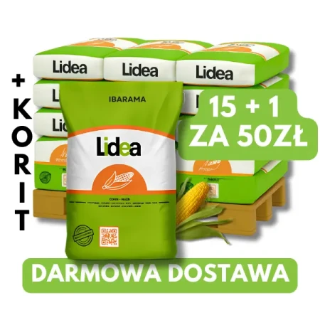 Kukurydza ES Ibarama C1 50 tys. nas. zapr Redigo M120FS + Korit420FS, 15+1