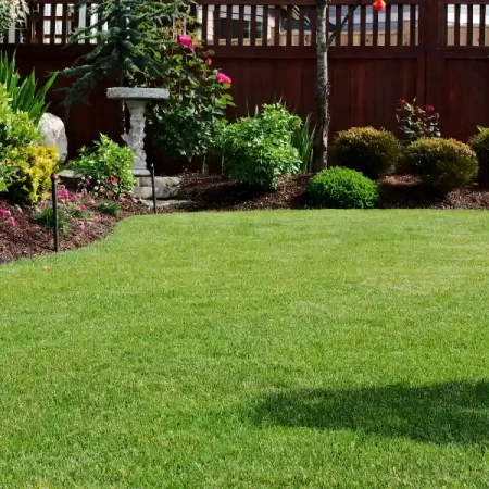 Mieszanka traw uniwersalna - Trawy po byku 10kg