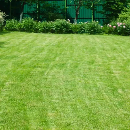 Mieszanka uniwersalna - Trawy po byku 10kg