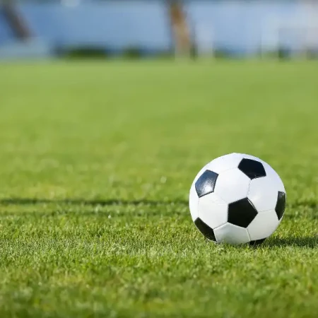 Mieszanka sportowa - Trawy po byku 10 kg