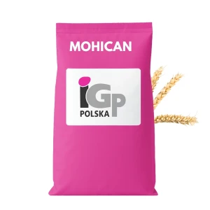 Pszenica Jara C1 MOHICAN 50 kg, IGP, zapr Maxim Power