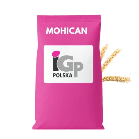 Pszenica Jara C1 MOHICAN 50 kg, IGP