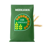  Pszenica Jara C1 MERKAWA 25 kg, SMOLICE, zapr Kinto Plus