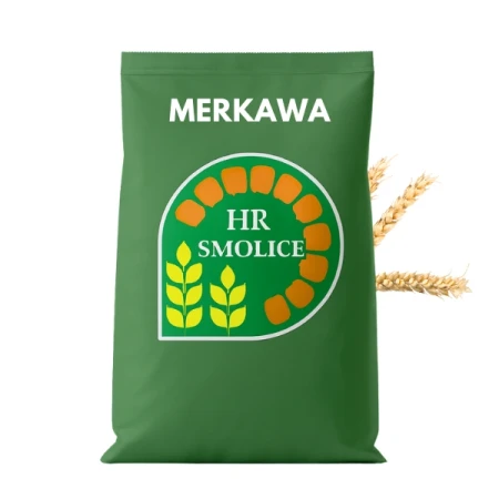 Pszenica Jara C1 MERKAWA 25 kg, SMOLICE