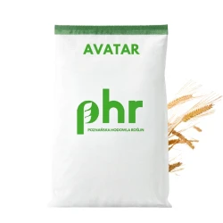Jęczmień Jary AVATAR C1, 40kg, PHR, zapr Maxim Power