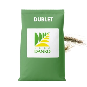  Pszenżyto Jare DUBLET, 25 Kg. DANKO, zapr Redigo Pro 170 FS