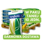 Kukurydza SY Fregat, zapr Redigo M120FS, pak 10 jedn.