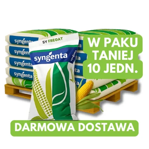 Przejdź do produktu Kukurydza SY Fregat, zapr Redigo M120FS, pak 10 jedn.