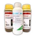 Caryx 2x1L + JOUST 250 EC 1L Zestaw Fungicydów Rzepak 3Ha