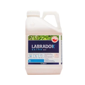 Środek chwastobójczy Labrador 50 EC Ciech 5L rzepak, burak cukrowy 