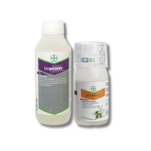 Przejdź do produktu Pakiet herbicydowy Attribut 70 SG 120 G + Biopower 276,5 SL 1L