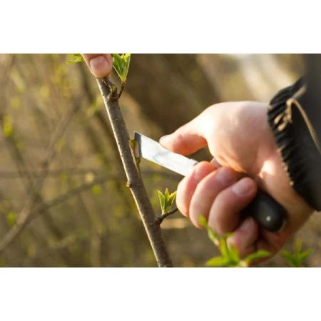 Nóż ogrodowy - okulizak 40-262