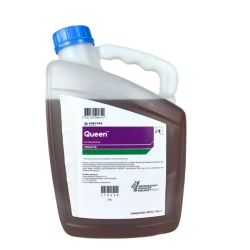 Queen 7,5L - ochrona zbóż przed chorobami