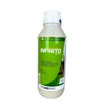 Infinito 687,5 SC 1L BAYER  zaraza ziemniaka, alternarioza cebuli, mączniak rzekomy