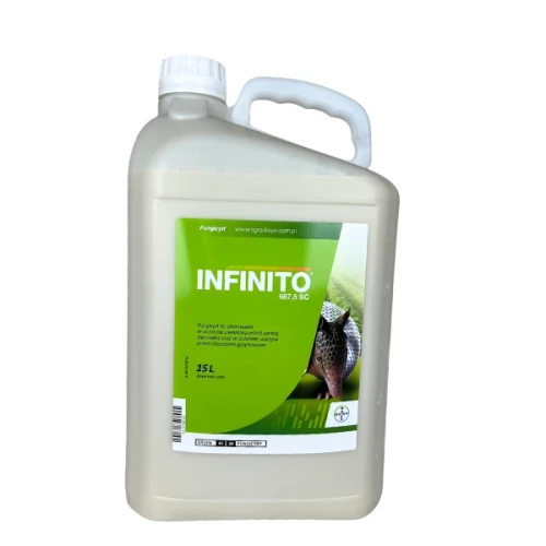 Przejdź do produktu Infinito 687,5 SC 15L BAYER zaraza ziemniaka, alternarioza cebuli, mączniak rzekomy