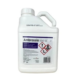 Środek grzybobójczy Ambrossio 500 SC 5l
