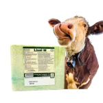 Lizawka solna Lisal-M - zielona 10 kg