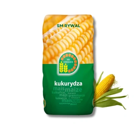 Kukurydza SM Rywal C1 50 tys. nasion Smolice, zaprawiona Redigo M 120 FS
