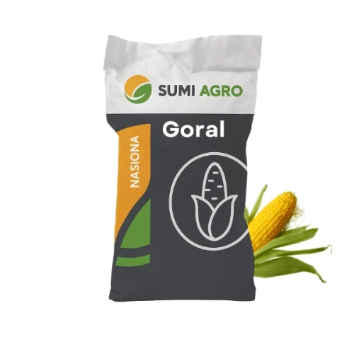 Przejdź do produktu Kukurydza Goral C1 50 tys. nas., zaprawiona Redigo M120Fs