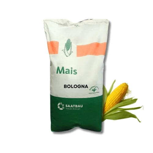 Przejdź do produktu Kukurydza Bologna C1 KORIT 420FS 50 tys. nasion Saatbau 