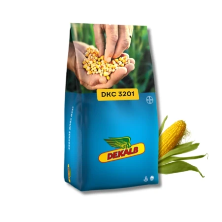 Kukurydza DKC 3201 C1 50 tys. nas. zapr Redigo M120FS
