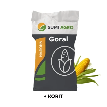 Kukurydza Goral C1 50 tys. nasion SumiAgro, zaprawiona Redigo M120Fs + Korit 420FS