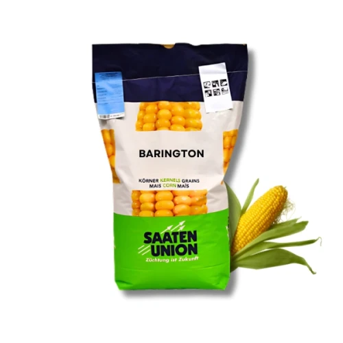 Przejdź do produktu Kukurydza Barington C1 50 tys. nasion SAATEN-UNION