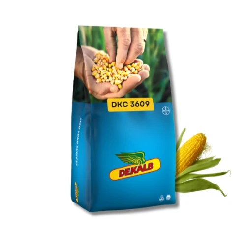 Przejdź do produktu Kukurydza DKC 3609 C1 50 tys. nas. zapr Redigo M120FS