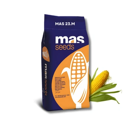 Kukurydza MAS 23.M C1 50 tys. nasion MAS Seeds, zaprawiona Redigo M 120 FS