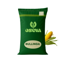 Kukurydza Bullinga C1 80 tys. nas. zapr Redigo M120FS, na kiszonkę