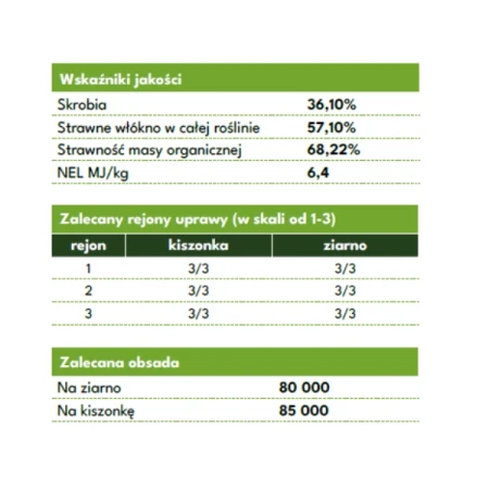 Kukurydza Oseva Zelandia C1 80 tys. nasion, zaprawiona Redigo M 120 FS