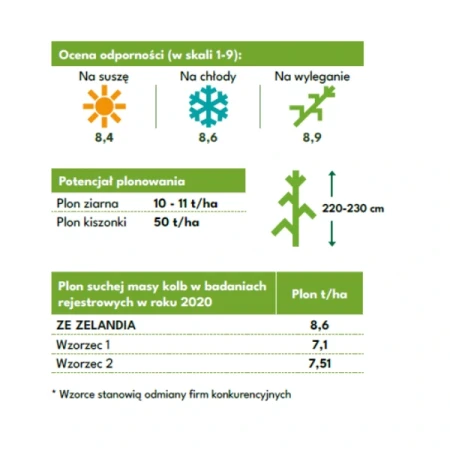 Kukurydza Oseva Zelandia C1