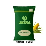 Kukurydza Oseva Bullinga C1 80 tys. nasion, zaprawiona zaprawiona Redigo M 120 FS + Korit 420 FS +  Force 20 CS
