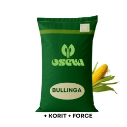 Kukurydza Oseva Bullinga C1 80 tys. nasion, zaprawiona zaprawiona Redigo M 120 FS + Korit 420 FS +  Force 20 CS