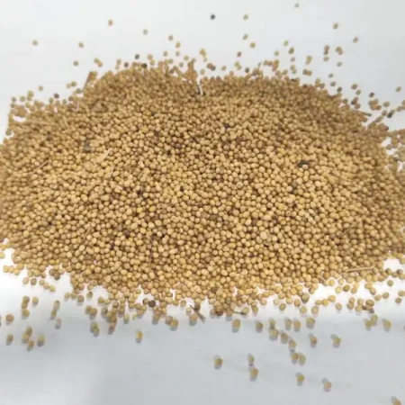 Gorczyca biała na poplon 25 KG